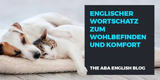 wohlbefinden englisch