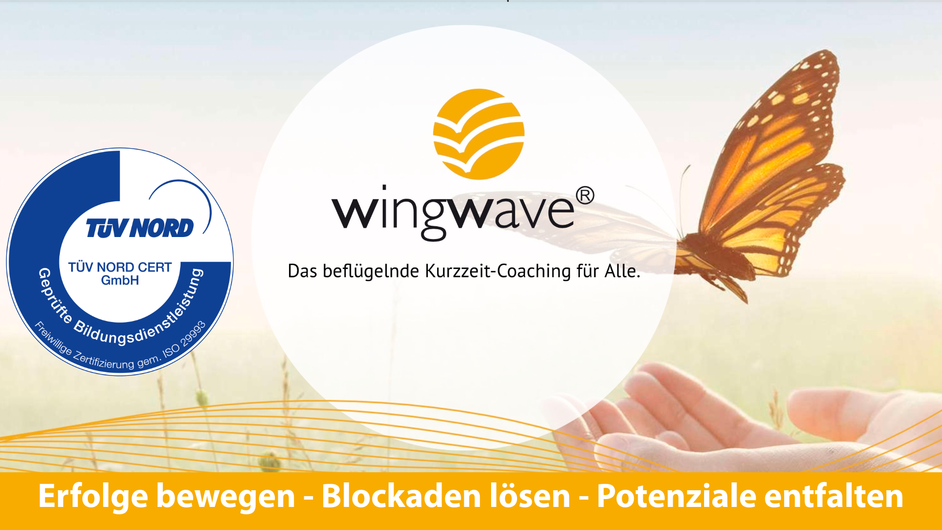 wingwave therapeuten