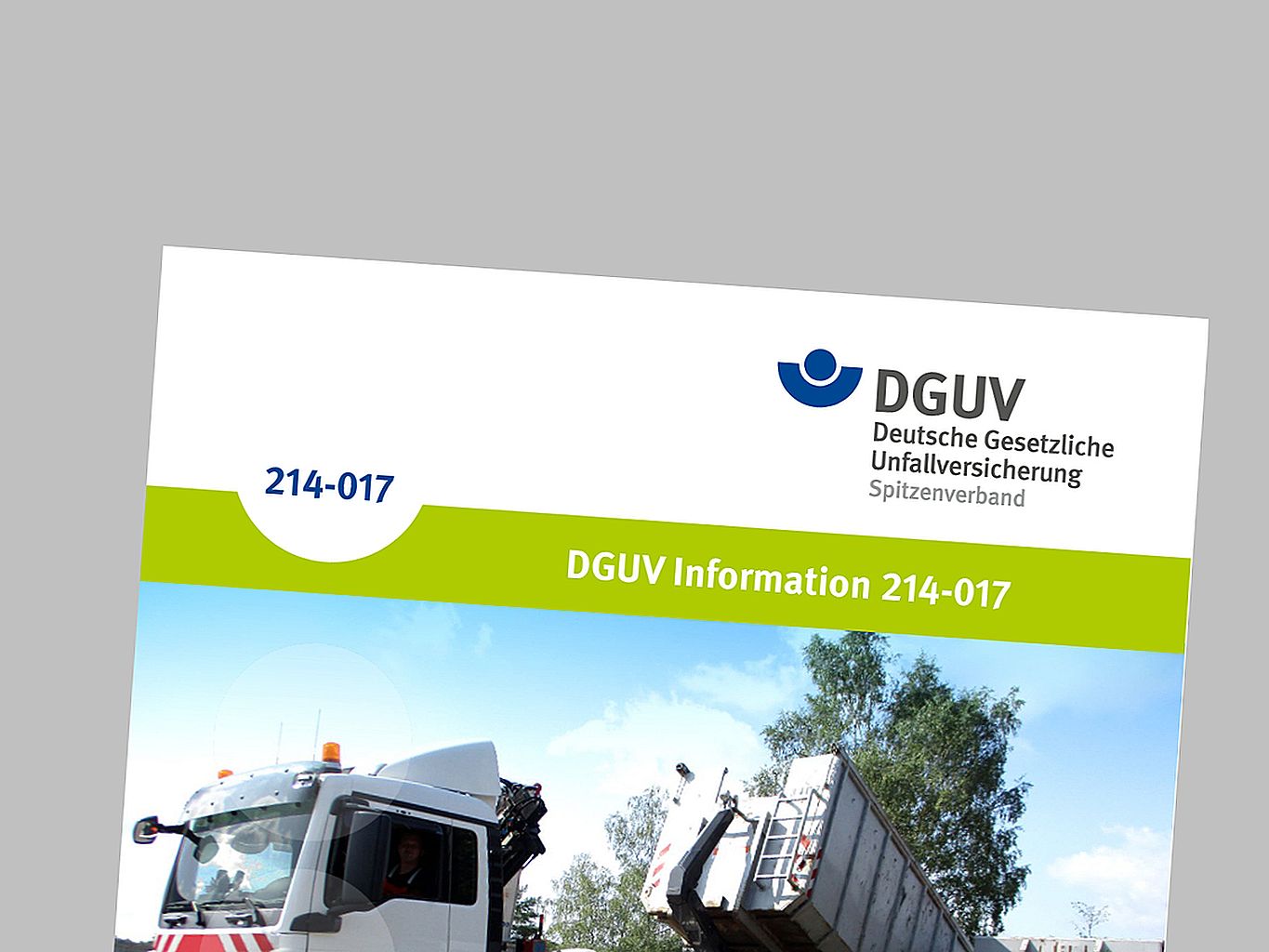 dguv information 213 850